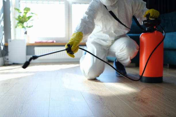 Reliable Odor Removal contractor in Wellington, FL by Trauma Clean Pros